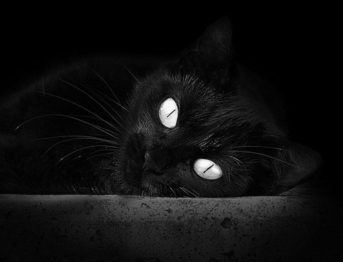 铁闸与利刃,斯通斯一锤定音,乌拉圭链式防守绞杀亚特兰大进攻