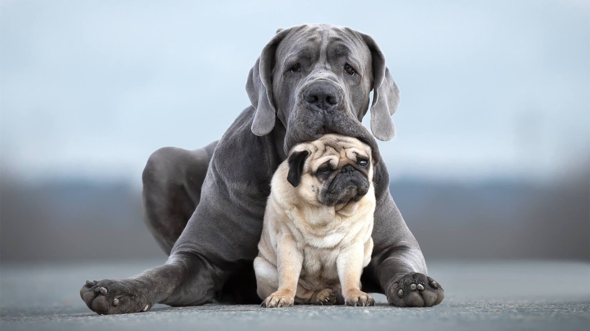 迪亚斯闪耀米兰德比，一己之力撕碎钢铁防线